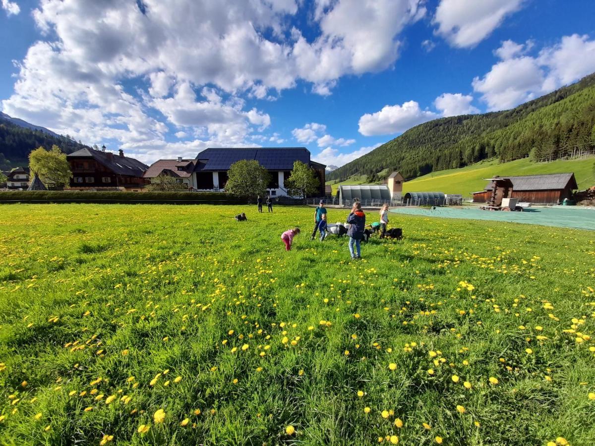 Sonnenchalet Neusess Маутерндорф Екстериор снимка